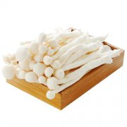 秋冬季節 吃什么菇好呢